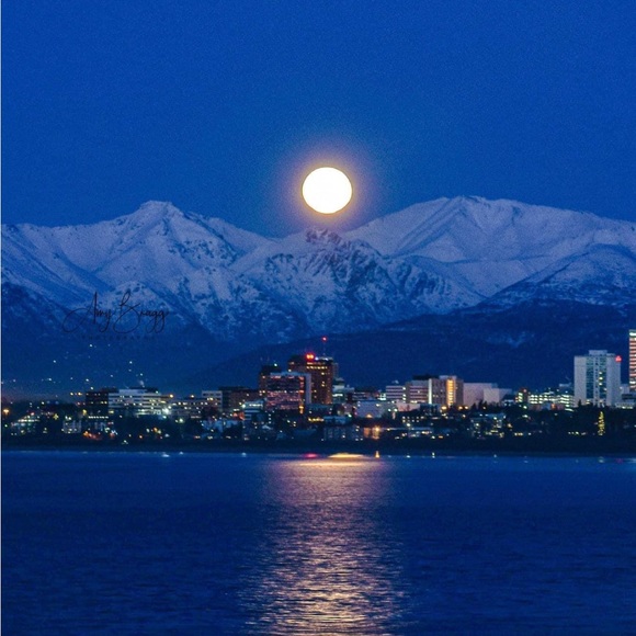 🥂CHEERS 🍾 - Picture 2 of 14